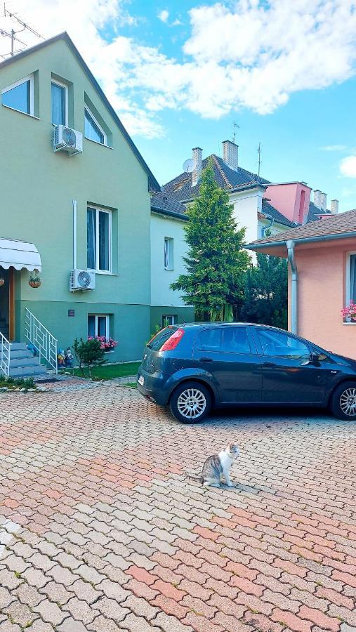 Penzion Tiberia Hotel Trencin Exterior photo